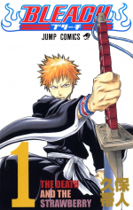 Bleach Mangacover