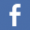 Facebook Icon 