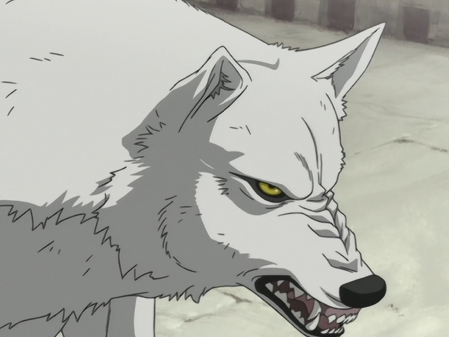 wolfsrain_0102_ftg.jpg