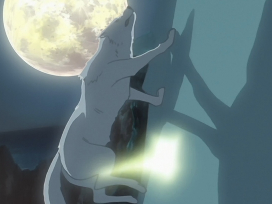 wolfsrain_0304ggdhd.jpg