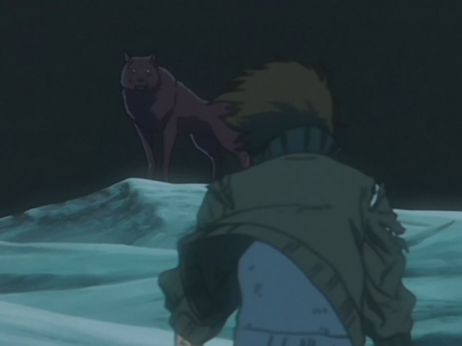 wolfsrain_30ra5g.jpg