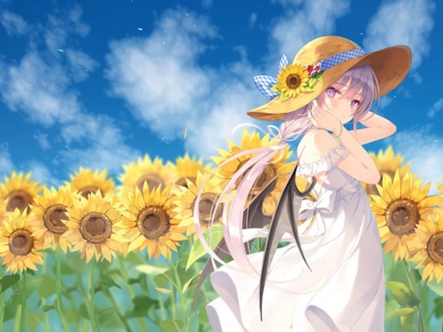summer2024.jpg